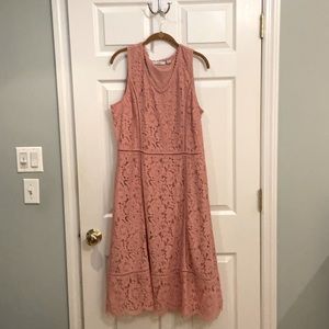 Isaac Mizhari Live Medium Rose Lace Dress